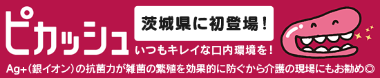 ピカッシュでいつもキレイな入れ歯、衛生的な口内環境を！