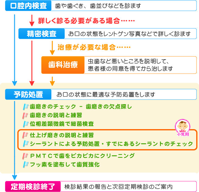 歯科定期検診の流れ