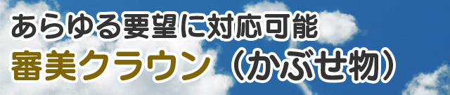 あらゆる要望に対応可能審美クラウン（かぶせ物）